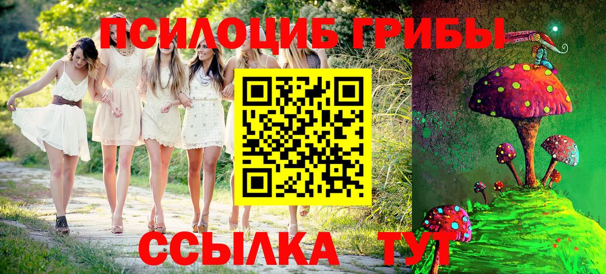 Галлюциногенные грибы Magic Shrooms  Вход с VPN  Канск  Галлюциногенные грибы Psilocybine cubensis 