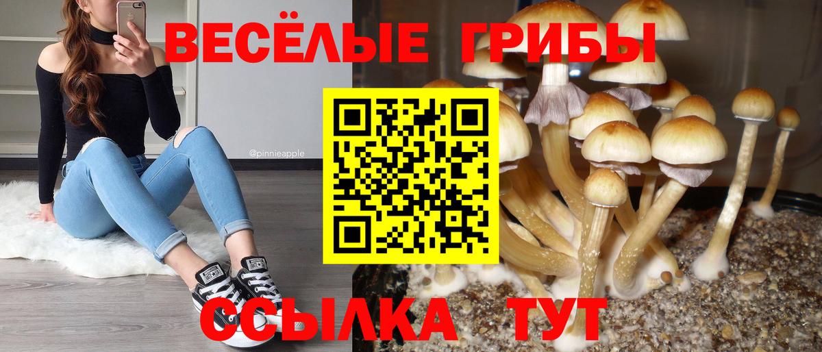 Галлюциногенные грибы мухоморы Канск
